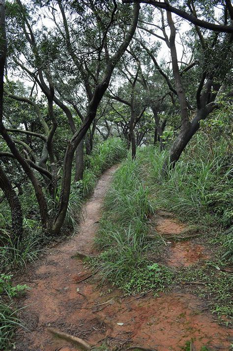 福人山|[桃園楊梅]．福人登山步道（Tony的自然人文旅記第0996篇）